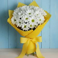 Букет цветов из:  Хризантемы в Нижнем Икорце