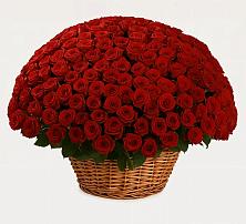 Премиум букет из: Розы в Нижнем Икорце